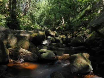 Looking up Padley Gorge on a summer's day.jpg